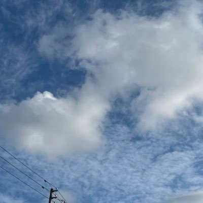 わをんさんのプロフィール画像