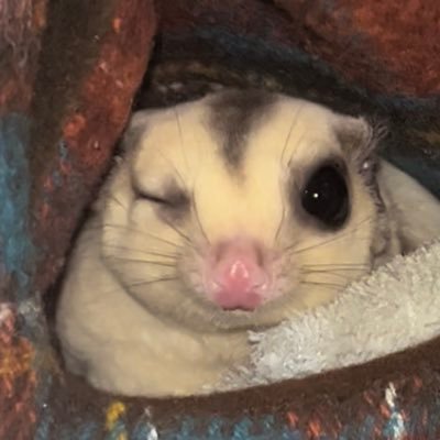 田中卓さんのプロフィール画像