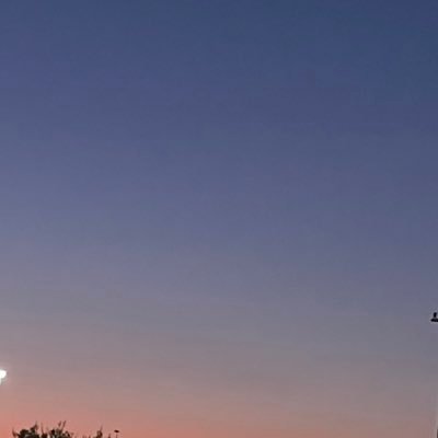 mi_nolife's profile picture. 日常