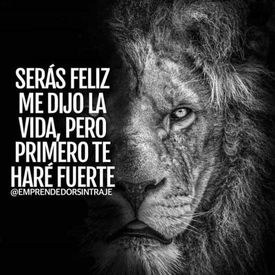 julianp20770026's profile picture. 