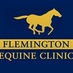 Flemington Equine (@flemingtone) Twitter profile photo Flemington Equine (@flemingtone) Twitter profile photo