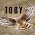 Toby’s Birding (@TSbirding) Twitter profile photo