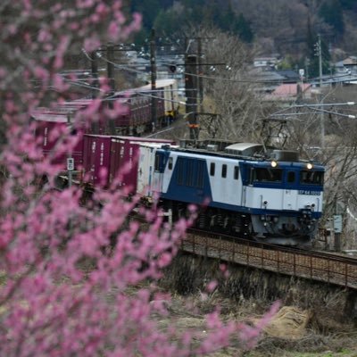 写真は自己満/DM○/フォロバは気になった人のみ/ @Akashi225_100←お気持ち表明垢(人選あり) @kobecitybus_491 ←バス垢