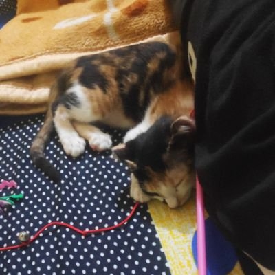 AnonyPyInTra's profile picture. AlwaysBeSilent
#LoveCodingButForFunOnly......💻
#DataEngineer...💻
#ShortTermLongTermInvestor....💰
#MoneyMarketAnalyst🪙
#SwingTraders
#PythonDeveloper
#GCPEng