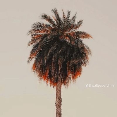 Quinton45777's profile picture. Hi