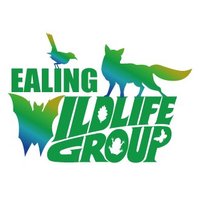 EalingWildlifeGroup(@WildlifeEaling) 's Twitter Profile Photo