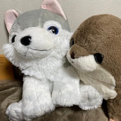 ゆことさんのプロフィール画像