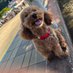 I (@i_kkt0125) Twitter profile photo I (@i_kkt0125) Twitter profile photo