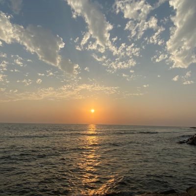 wweer245's profile picture. 