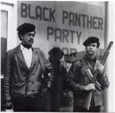 BlackPanthers.com dedicated in offering the best information on historic Black Panthers party such as Black Panthers historical information, photos and many mor