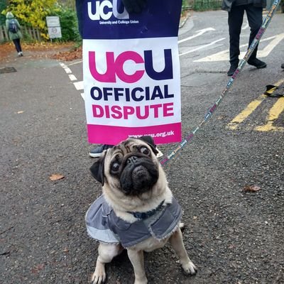 The official twitter account for Winchester University's UCU branch