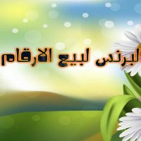 البرنس لبيع الارقام (@tar_sccc) Twitter profile photo