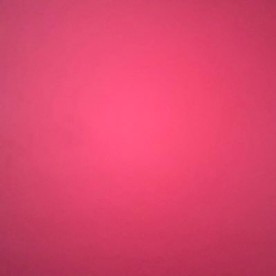 loris_clara's profile picture. 