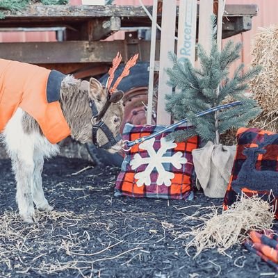 aschornhorst's profile picture. Wife, SAHM with 2 fabulous kiddos.