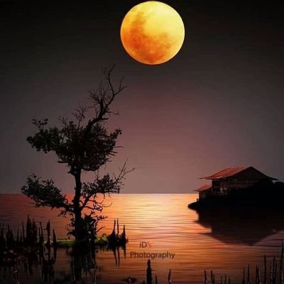 Mithile49448824's profile picture. 