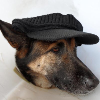 Zvone20445167's profile picture. 