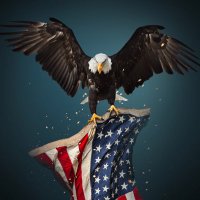 Ciccio55 🇺🇸🇺🇸🇺🇸(@Ciccio55Jr) 's Twitter Profile Photo