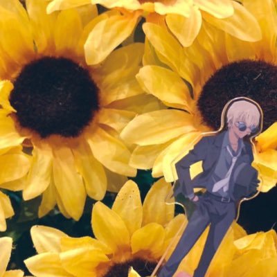 向日葵大明神さんのプロフィール画像