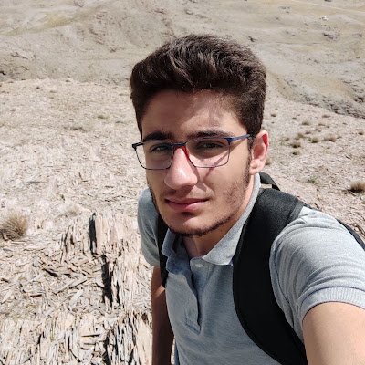 ho_yasbolaghi's profile picture. 