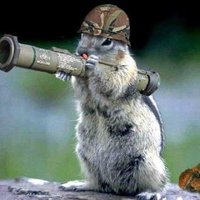 Bobber-p (@bobberp2) 's Twitter Profile