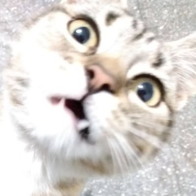 Friztella's profile picture. Bajista, futura ex estudiante de ingeniería, master en brainstorming y cuestionadora serial. Bloqueada por el stunt del Bahiano y algunos intolerantes más