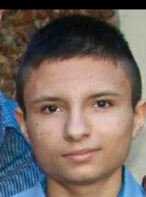 PedrovitordeO16's profile picture.