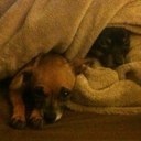 Jake Leach - @crosslakejake - Twitter