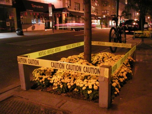 SugarJolt's profile picture. I'm snarky & a lot to handle