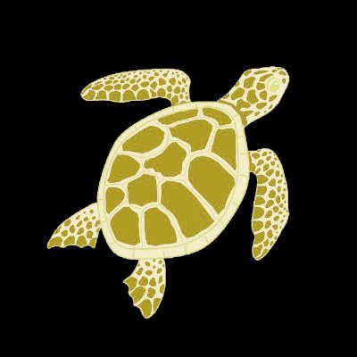 Turtle Gamesさんのプロフィール画像