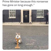 Harry Shires (@harryshires4) 's Twitter Profile