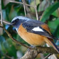 Lizzy Lizzy (@lizzyli59103728) 's Twitter Profile Photo