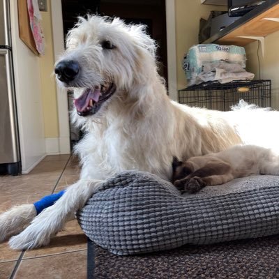 wendy_albers's profile picture. 