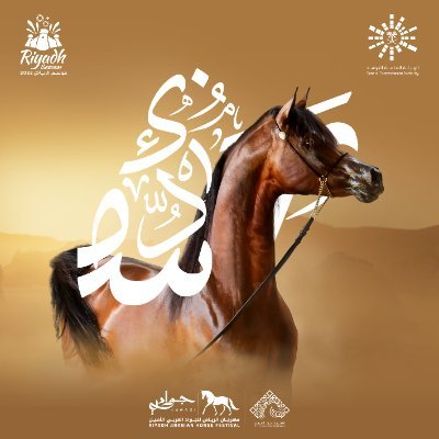 مهرجان الرياض للجواد العربي الأصيل Profile