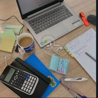I give excellent grades in Bio, Business,Physics,Chem, Economics, Essays, maths, Research papers, Exams email: francsean2010@gmail.com