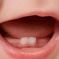 EsatEmre11's profile picture. 