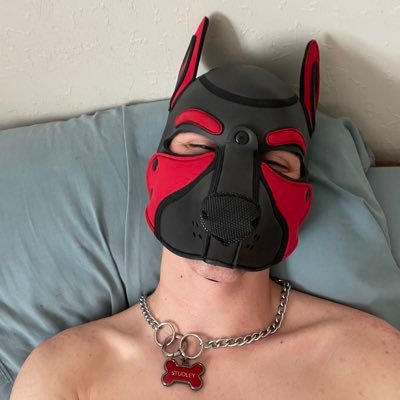 Just a good boi 🧡 23//6ft//Bi//Bay Area 🐶🔞 (Pup Birthday: 11/15/21)