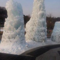 noFOMO (@dingowolfs25) 's Twitter Profile