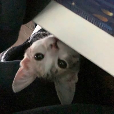 zoeeeena's profile picture. 