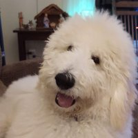 reg ritter (@regritter10) 's Twitter Profile