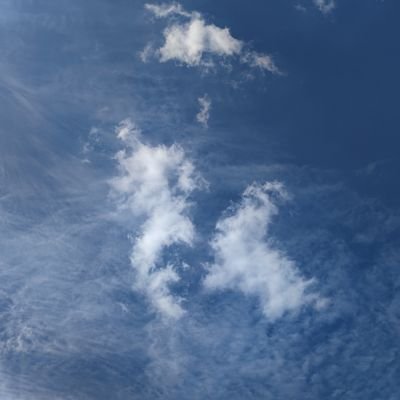 Aurore_Douceur's profile picture. Liberté ~ Egalité ~ Fraternité.