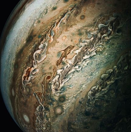 pilsvern1337's profile picture. 