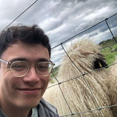 meeple_'s profile picture. luke@mastodon.ie
