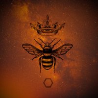 ▪️QUEENBEE▪️ (@cryptonbee) 's Twitter Profile