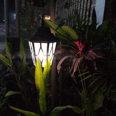 Fajle_Rayhan's profile picture. Web Development, Computer Vision