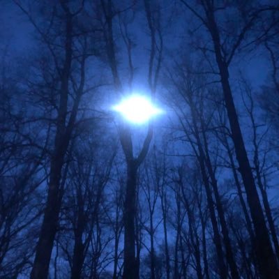 DawgFartz's profile picture. 