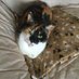 Maura2e2 ☠️🇮🇪🇵🇸🇺🇦🌻🦋🐈🦊🐝 (@maura2e2_) Twitter profile photo Maura2e2 ☠️🇮🇪🇵🇸🇺🇦🌻🦋🐈🦊🐝 (@maura2e2_) Twitter profile photo