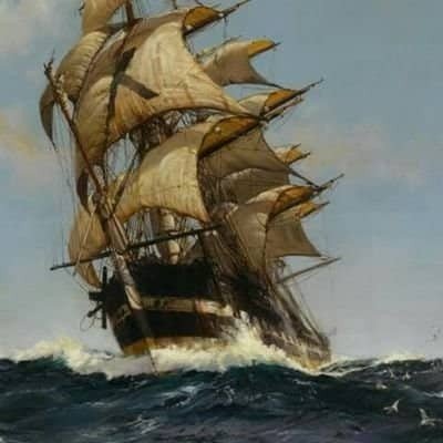 kinan_alhakim's profile picture. 