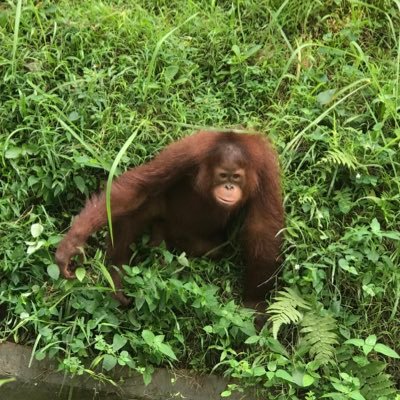 tyyaaaaa's profile picture. 