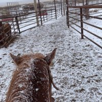 Jake (@zielke_jake) 's Twitter Profile