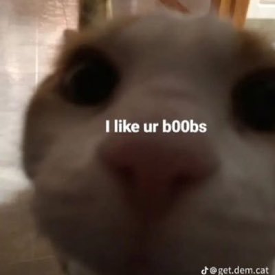 cuterthanyou55's profile picture. NSFW, she/her, 18, lesbian